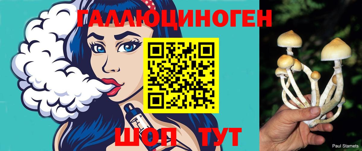 Волгоград  Галлюциногенные грибы прущие грибы  Вход с VPN 
