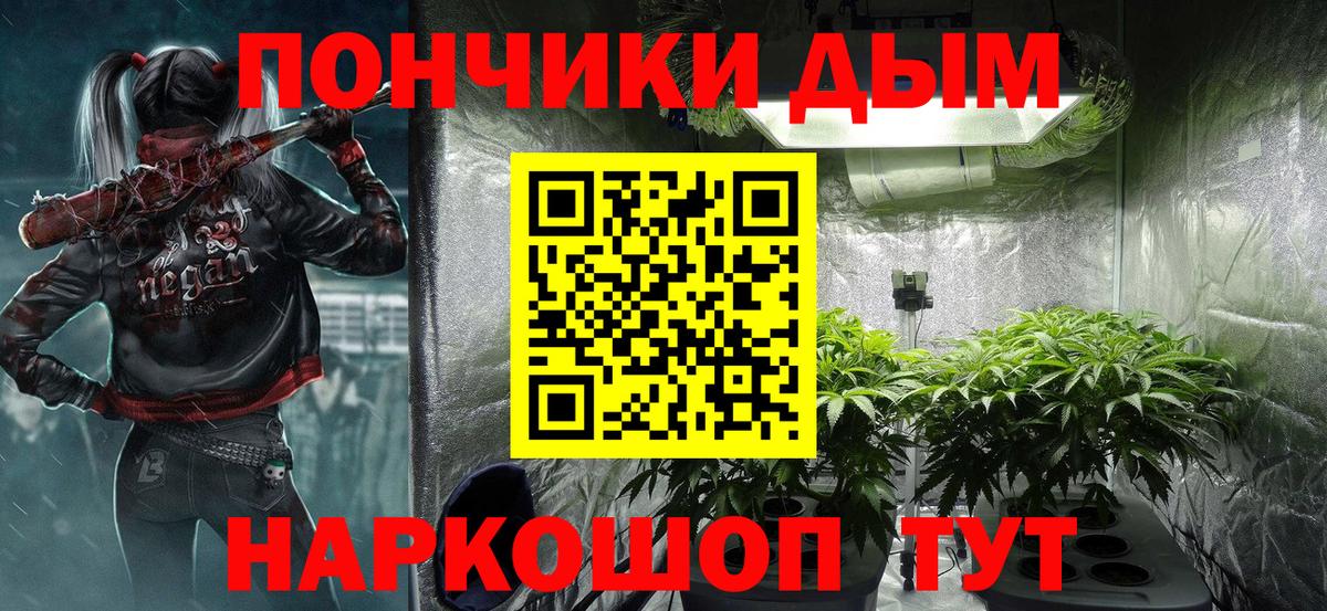 Марихуана сатива Волгоград
